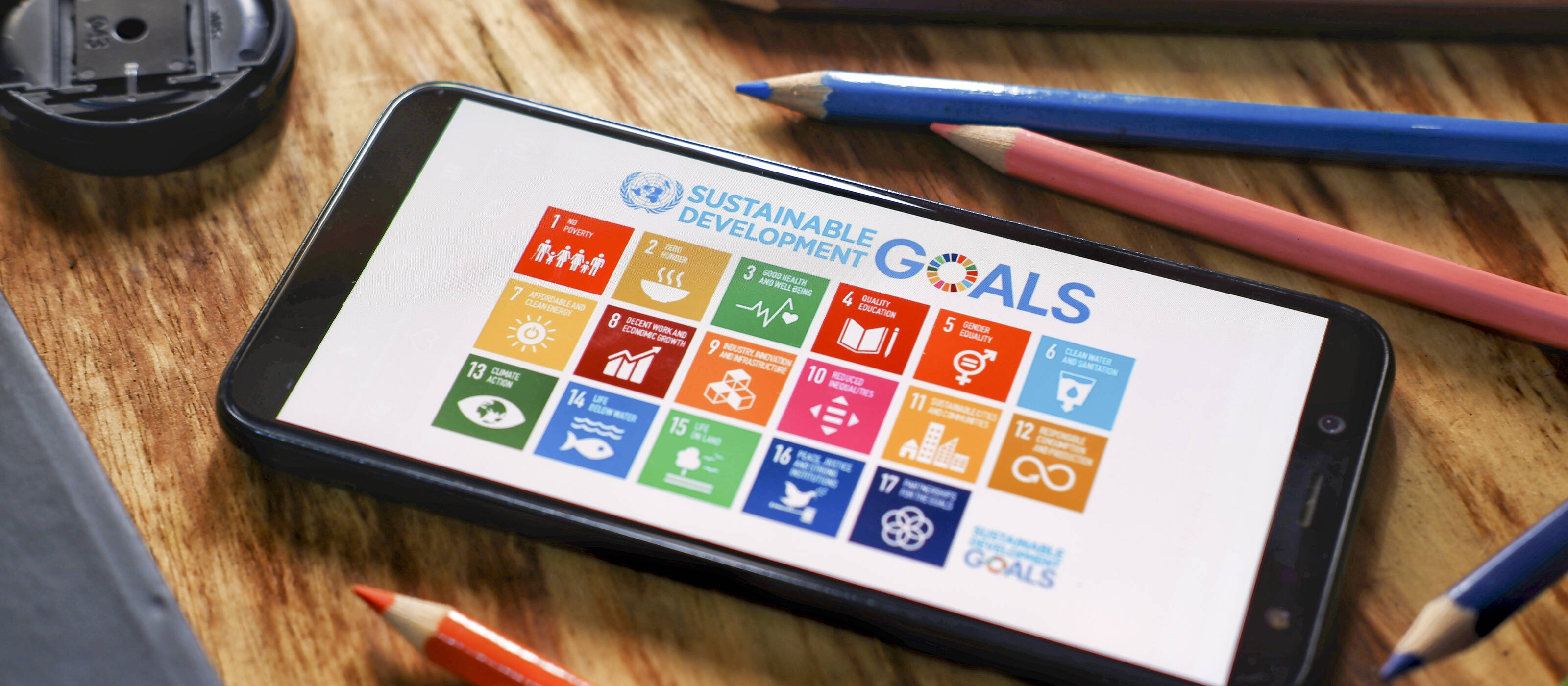 Wissen SDG