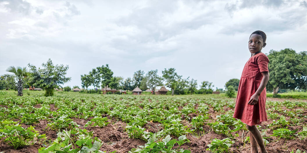 Einkommen und Ernährungssicherheit dank dem Moringa-Baum. Im Rahmen des Caritas-Projekts werden auf den Ländereien von Schulen, Gesundheitszentren und Gefängnissen Moringa-Plantagen angelegt. Uganda, Juni, 2019.